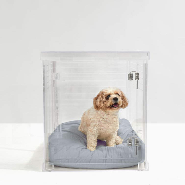 Plexiglass hotsell dog crate